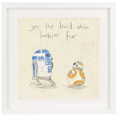 yer the droid ah'm look fur - print (Scottish)