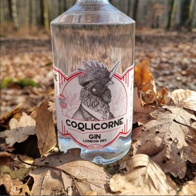 Gin London Dry - 70 cl - 43%.vol - Distillerie Coqlicorne