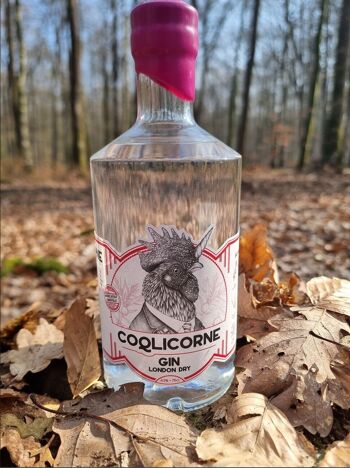 Gin London Dry - 70 cl - 43%.vol - Distillerie Coqlicorne 1