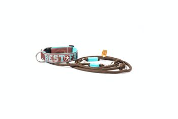 COLLIER POUR CHIEN BEST FRIEND CHOCO TURQUOISE 1