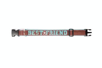 COLLIER POUR CHIEN BEST FRIEND CHOCO TURQUOISE 2