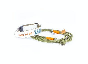 COLLIER POUR CHIEN BORN TO BE WILD