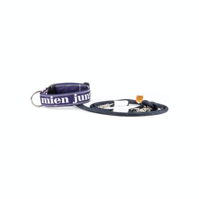 COLLIER POUR CHIEN MIEN JUNG