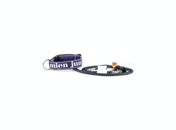 COLLIER POUR CHIEN MIEN JUNG 1