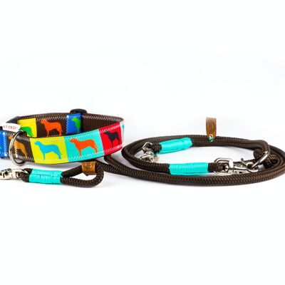 DOG COLLAR LABRADOR