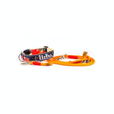 COLLIER POUR CHIEN ALOHA 2.0