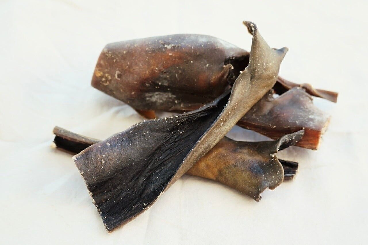 Cuero cabelludo de camello para perros