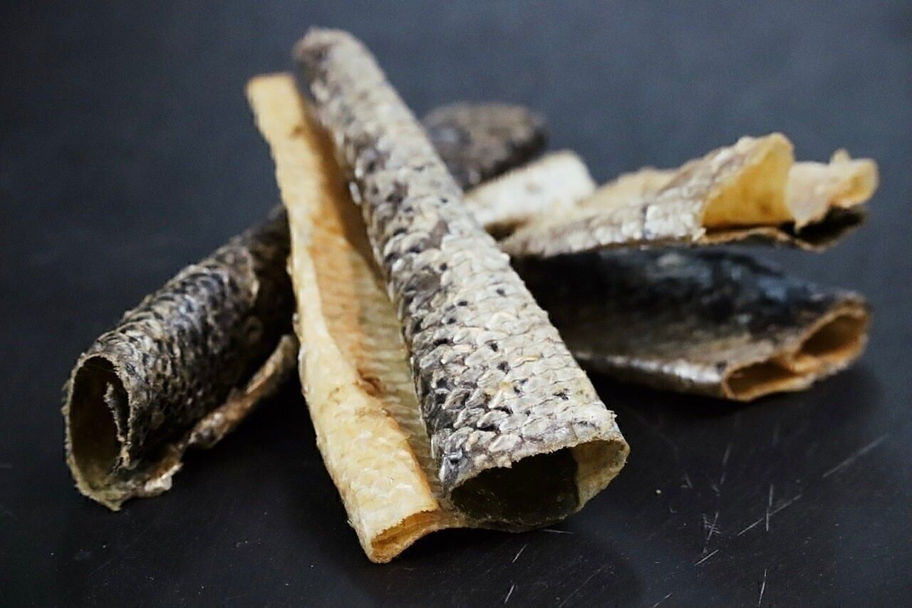 Lachshaut – 250g für Hunde