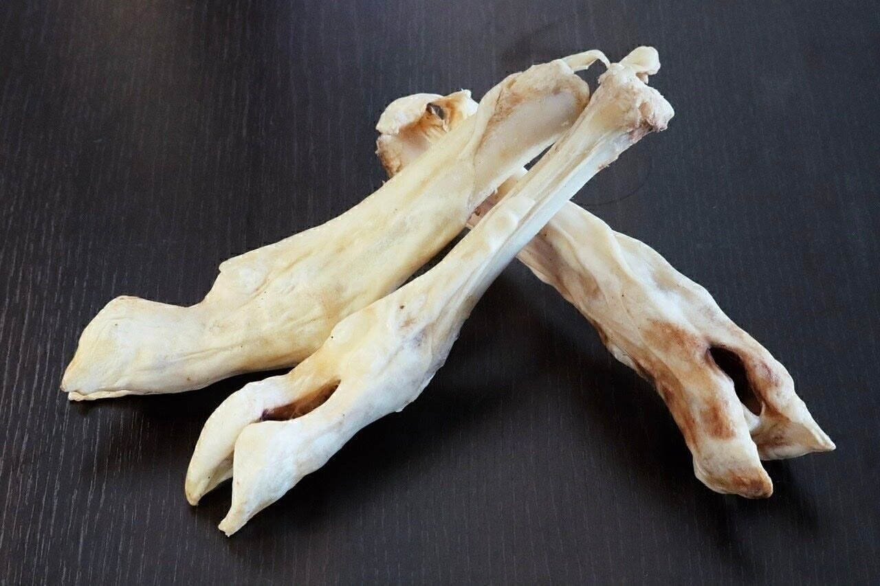 Zampe d'agnello per cani