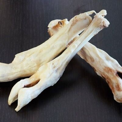 Lamb feet for dogs