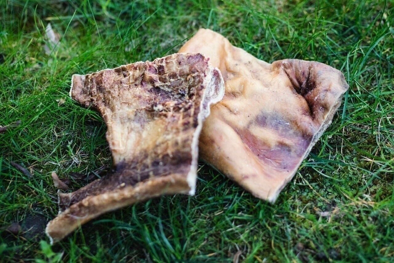 Rinderkopfhaut Platten für Hunde