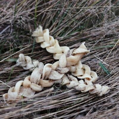 Tresses de cuir chevelu de bœuf pour chiens