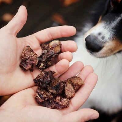 Cubes de poumon de bœuf pour chiens