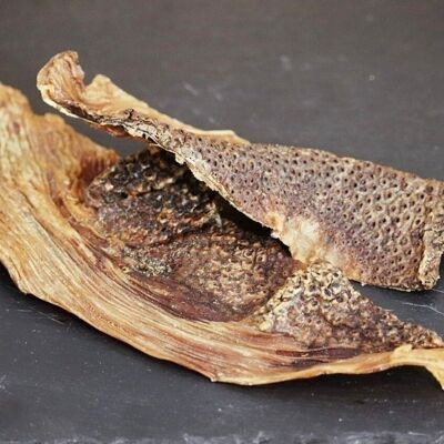 Straccetti di carne di struzzo per cani