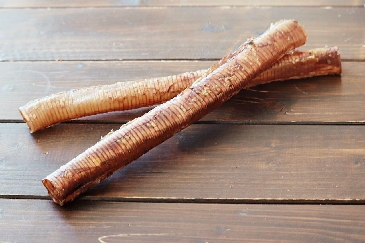 Rollies de avestruz para perros