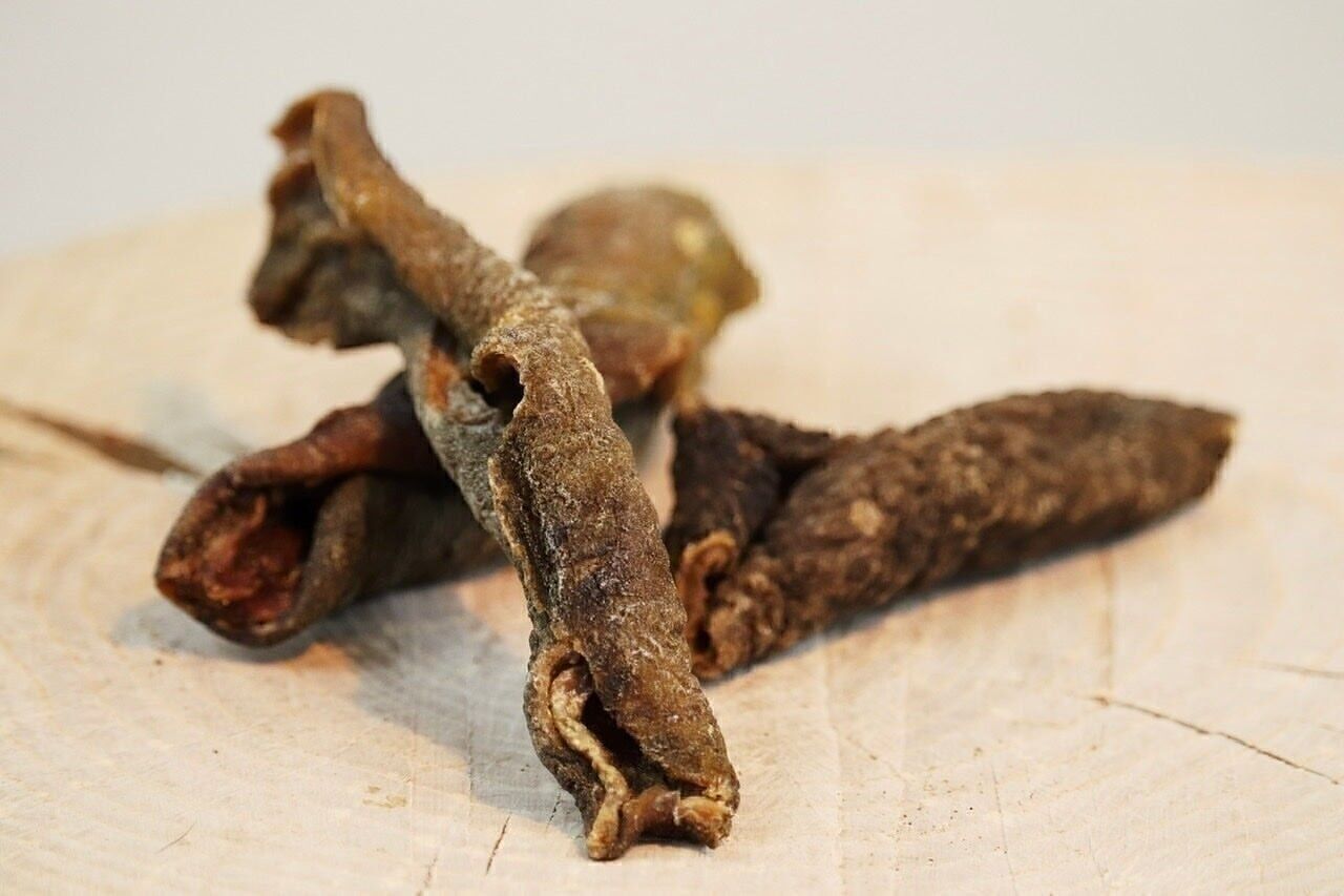 Stomaco di struzzo per cani