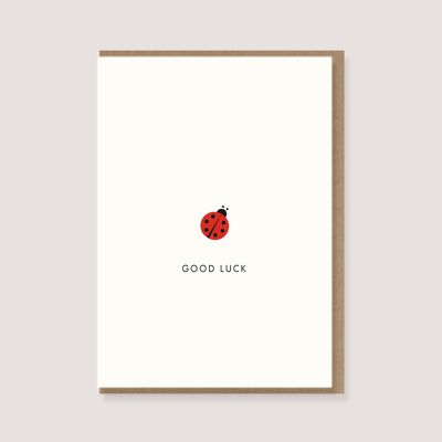 Folding card with envelope - "Ladybird - Good Luck"