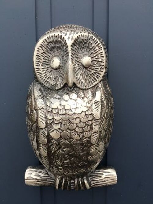 Owl Door Knocker (Antique Silver)