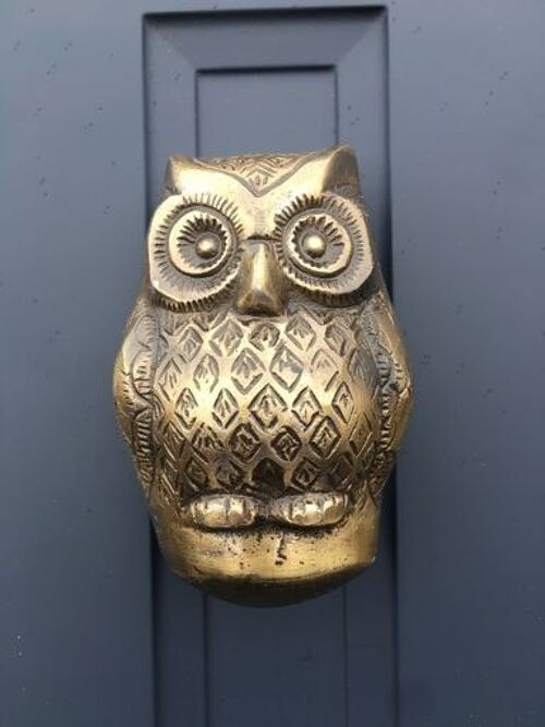 Baby Owl Door Knocker (Antique Brass)