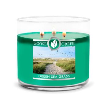 Green Seagrass Goose Creek Candle® 411 grammes Collection 3 mèches 1