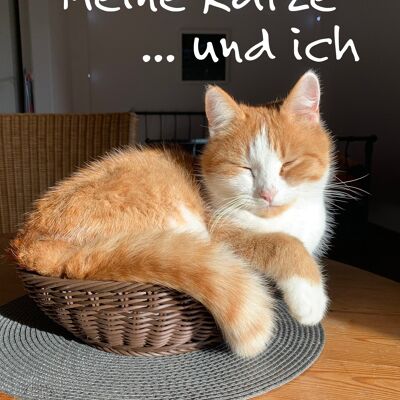 Meine Katze ... und ich