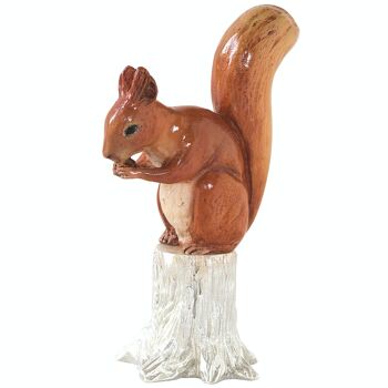 Écureuil roux 1