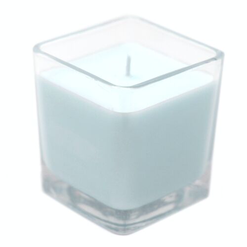 Soy candle in glass FIG