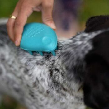 Brosse à frotter pour chien 2