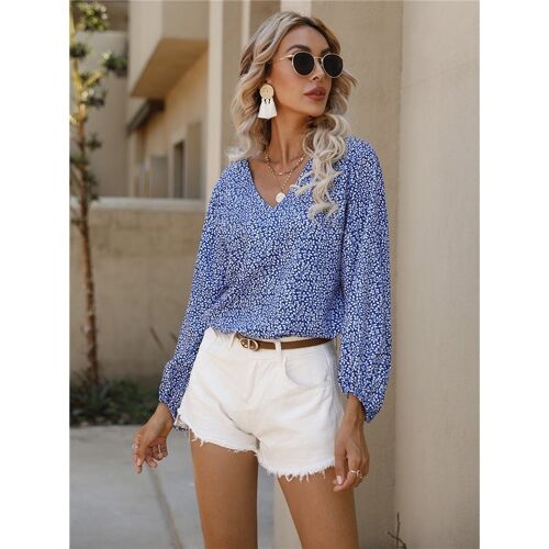 Small Floral V-Neck Long Sleeve Blouse Top