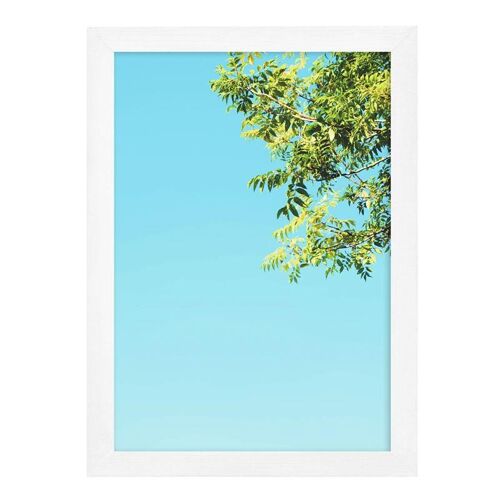 Blue Sky Print