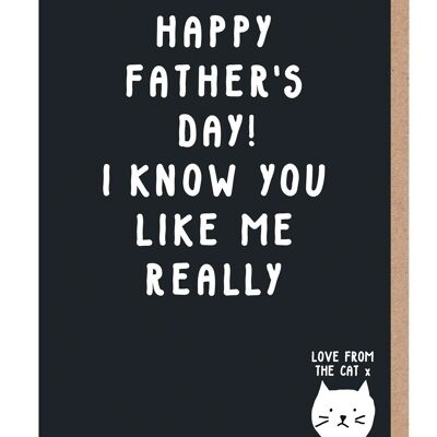 Sé que te gusto realmente tarjeta del día del padre del gato