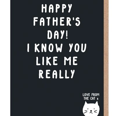 I Know You Like Me Really Father's Day Card From The Cat