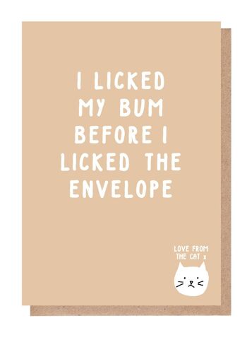 I Licked My Bum Before I Licked The Envelope Card From The Cat 1