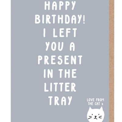 Presente en la bandeja de arena Tarjeta de cumpleaños del gato
