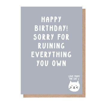 Sorry For Ruining Everything You Own Birthday Card From The Cat 1