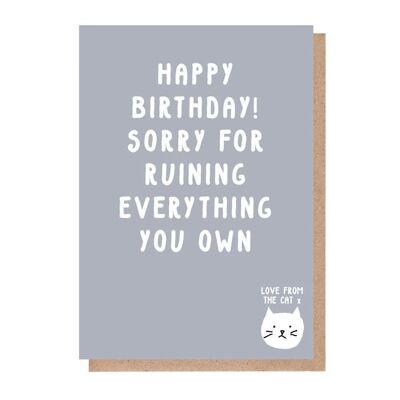 Perdón por arruinar todo lo que tienes Tarjeta de cumpleaños del gato