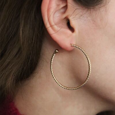 Carline earrings