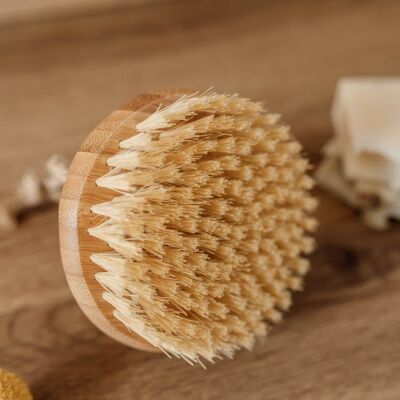 Bamboo and coconut body brush