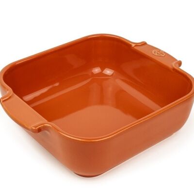 PEUGEOT SQUARE TRAY 21x17x6 TERRACOTTA