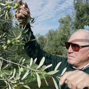 Cirulli Conserve, Pâté De Piment Épicé À L'Huile D'Olive Extra Vierge, Paquet De 180 Gr 6