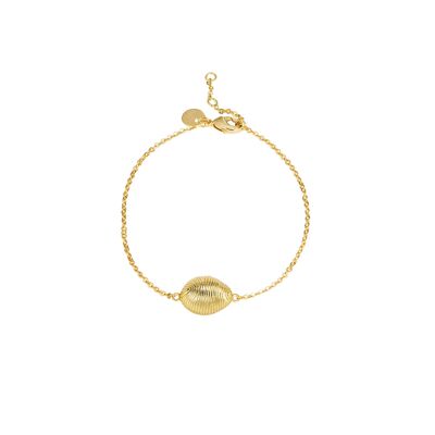Bretonisches goldenes Kaurimuschel-Armband - BELLEC