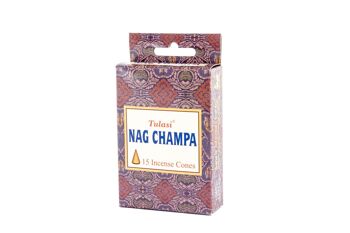 CÔNE D'ENCENS SET 15 ARÔMES 7X2X13 NAG CHAMPA IN82763 2