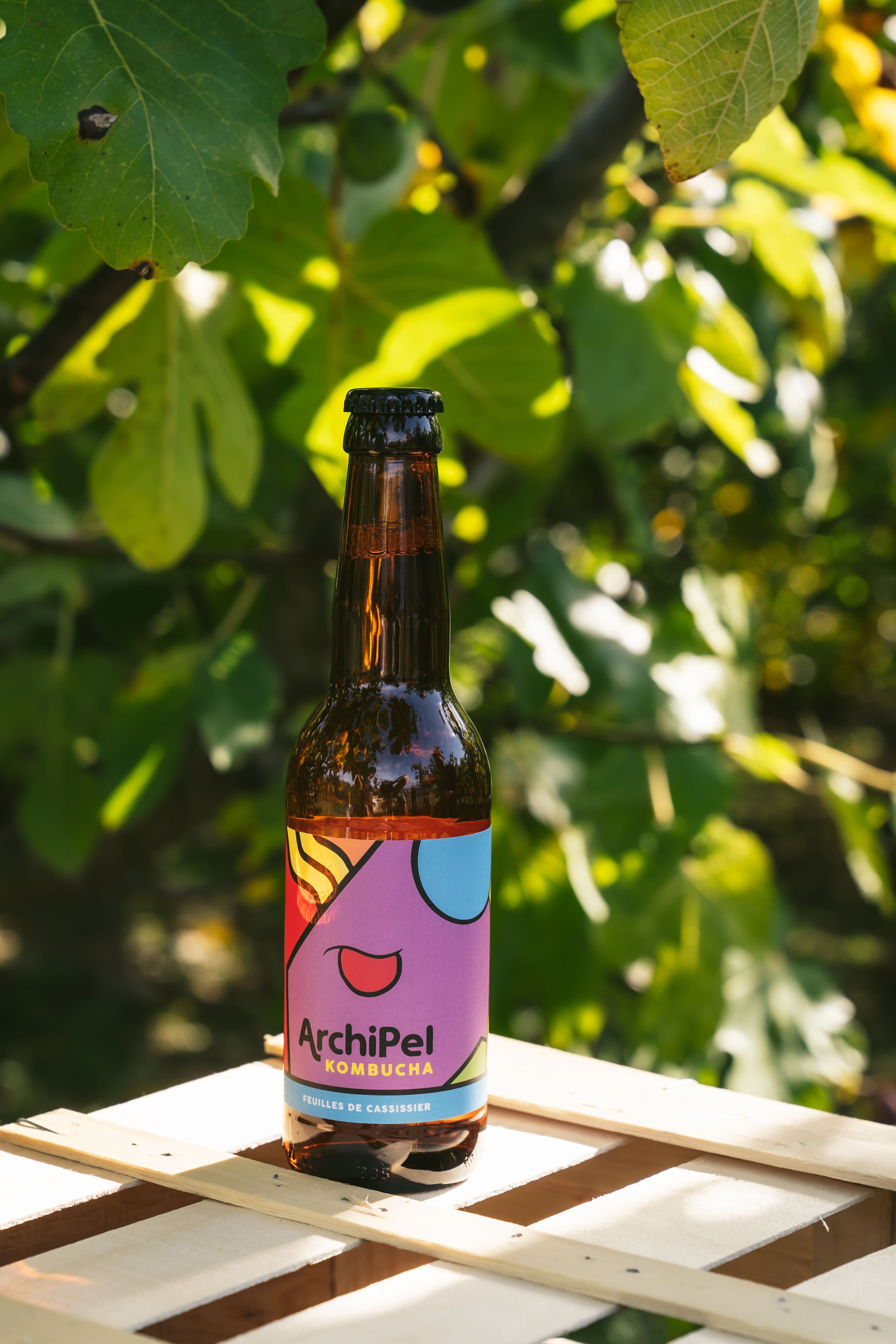 Hojas de grosella negra Kombucha (x12)