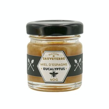 Miel d'eucalyptus d'Espagne - Pot 40g