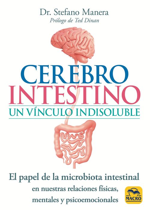 Cerebro intestino, un vínculo indisolube