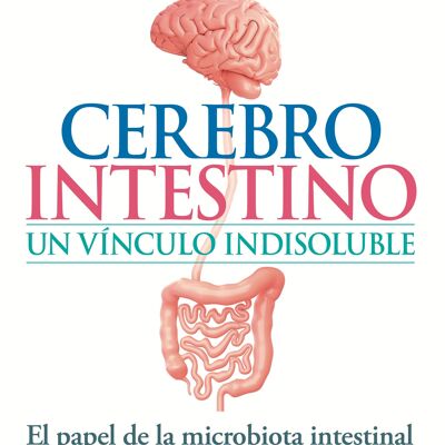 Intestine brain, an indissoluble bond