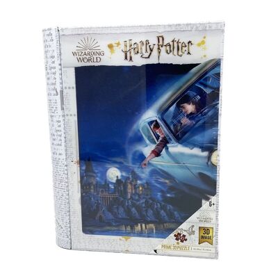 Puzzle-libro lenticular Harry Potter y Ron en el F