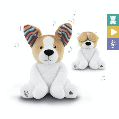 Danny the dog - peek-a-boo soft toy