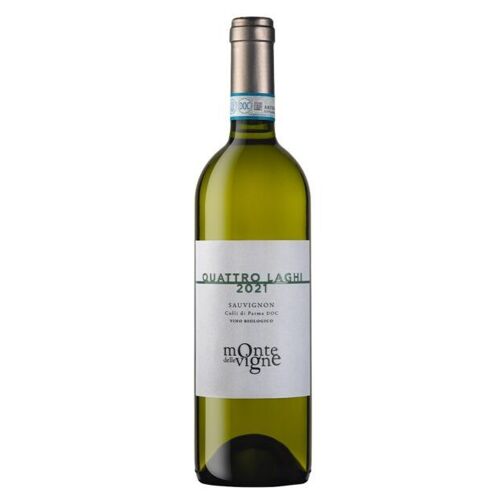 Quattro Laghi 2021 Sauvignon Doc - Bio