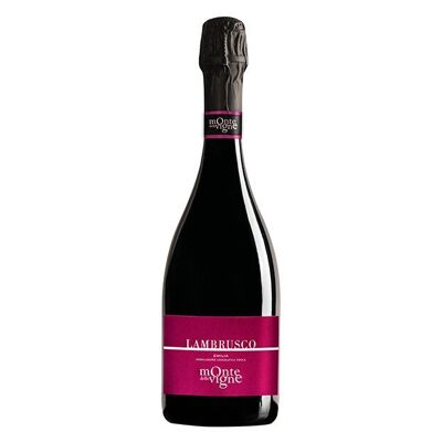 Lambrusco Espumoso 2021